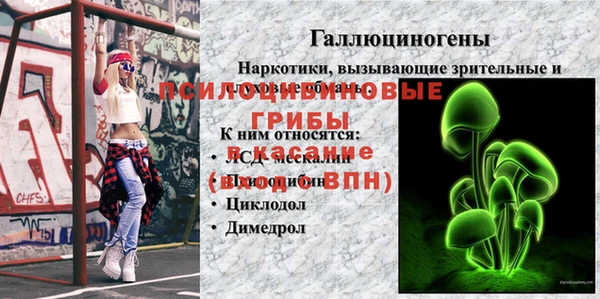 мяу мяу мука Ивантеевка