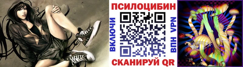Псилоцибиновые грибы прущие грибы  продажа наркотиков  гидра ссылки  Собинка 